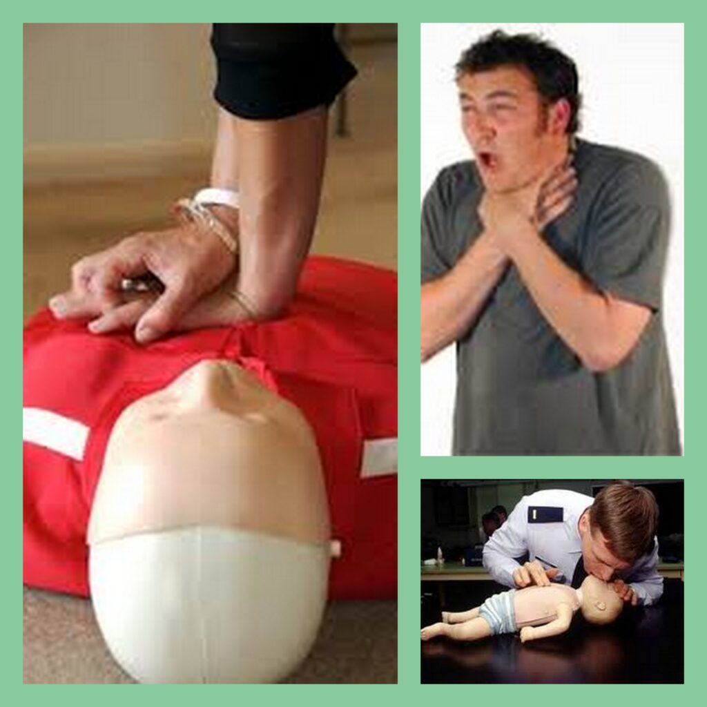 adult pediatric cpr aed choke saver Western MA, CT, RI